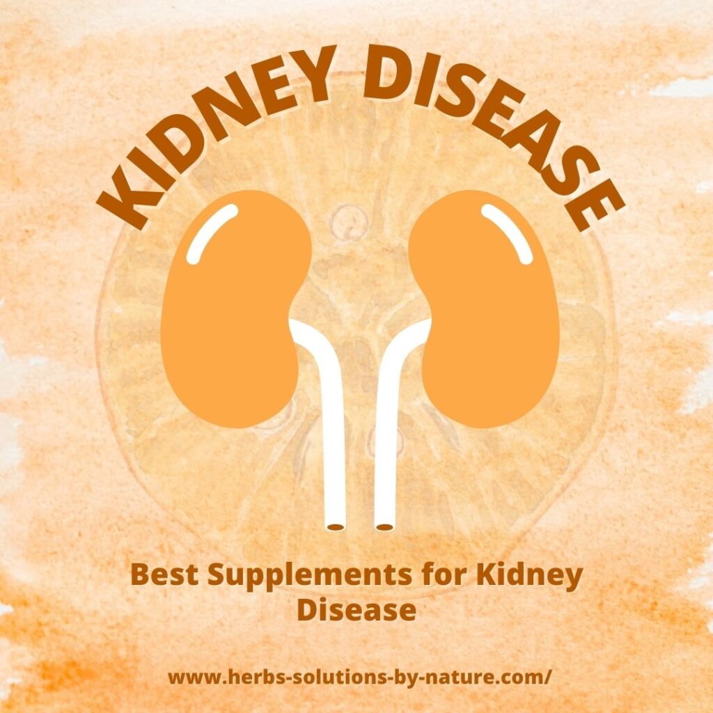 Best Supplements for Kidney Disease