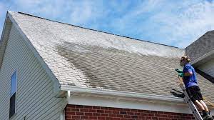 roof cleaning Austin TX